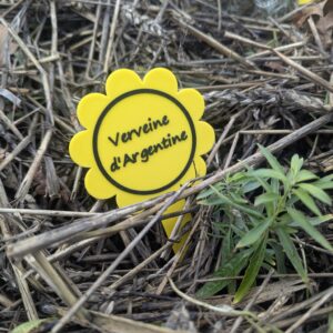 Marque-plantes personnalisables